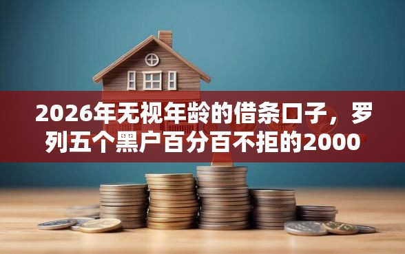 2026年无视年龄的借条口子，罗列五个黑户百分百不拒的2000借款口子