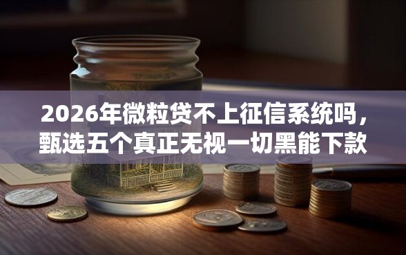 2026年微粒贷不上征信系统吗，甄选五个真正无视一切黑能下款口子