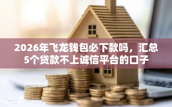 2026年飞龙钱包必下款吗，汇总5个贷款不上诚信平台的口子