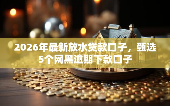 2026年最新放水贷款口子，甄选5个网黑逾期下款口子