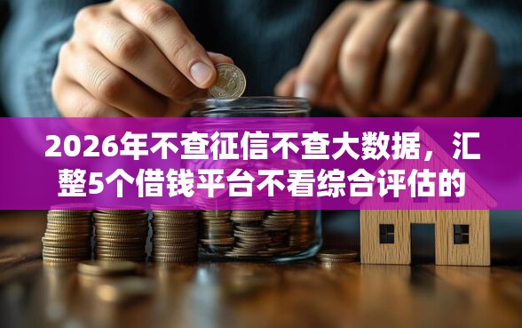 2026年不查征信不查大数据，汇整5个借钱平台不看综合评估的口子