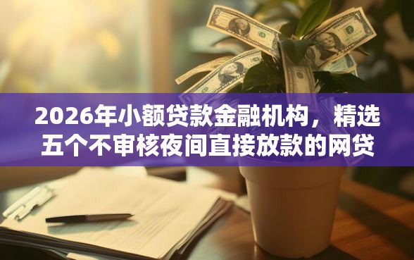 2026年小额贷款金融机构,精选五个不审核夜间直接放款的网贷口子 2026年小额贷款金融机构,精选五个不审核夜间直接放款的网贷口子