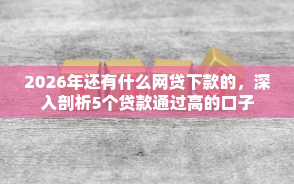 2026年还有什么网贷下款的，深入剖析5个贷款通过高的口子