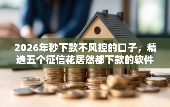 2026年秒下款不风控的口子，精选五个征信花居然都下款的软件