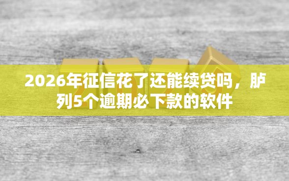 2026年征信花了还能续贷吗，胪列5个逾期必下款的软件