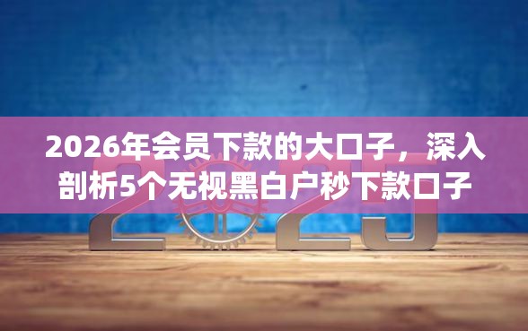 2026年会员下款的大口子，深入剖析5个无视黑白户秒下款口子app