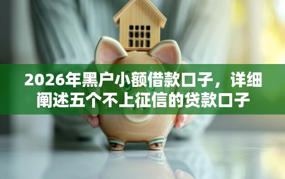 2026年黑户小额借款口子，详细阐述五个不上征信的贷款口子