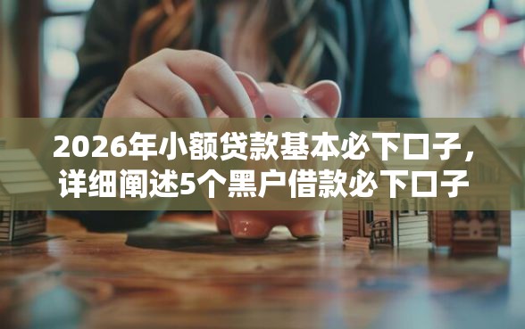 2026年小额贷款基本必下口子，详细阐述5个黑户借款必下口子