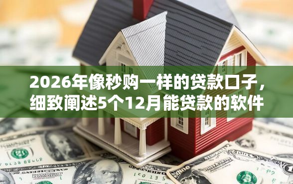 2026年像秒购一样的贷款口子，细致阐述5个12月能贷款的软件