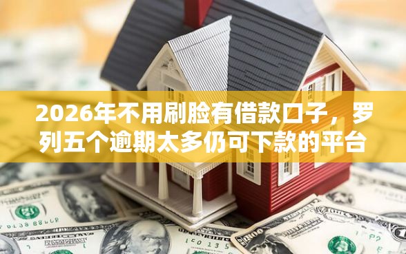 2026年不用刷脸有借款口子，罗列五个逾期太多仍可下款的平台