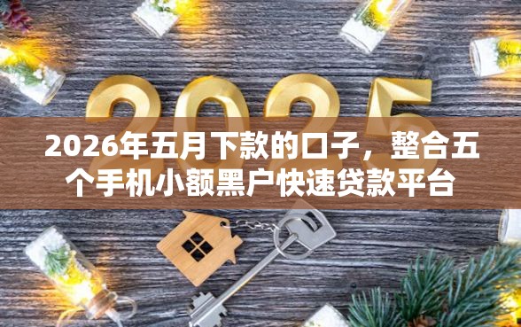 2026年五月下款的口子，整合五个手机小额黑户快速贷款平台