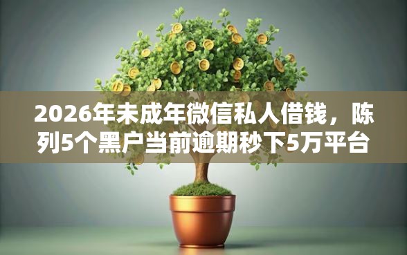 2026年未成年微信私人借钱，陈列5个黑户当前逾期秒下5万平台