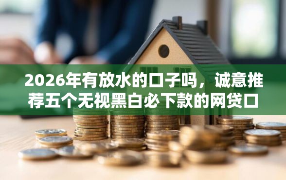 2026年有放水的口子吗，诚意推荐五个无视黑白必下款的网贷口子