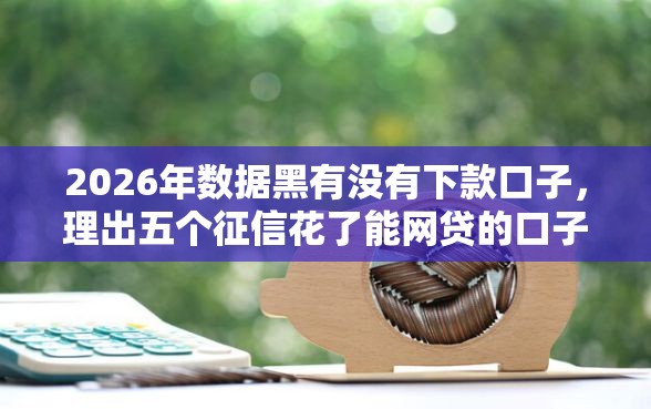 2026年数据黑有没有下款口子，理出五个征信花了能网贷的口子
