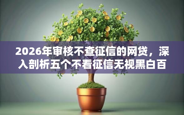 2026年审核不查征信的网贷，深入剖析五个不看征信无视黑白百分百下款网贷口子