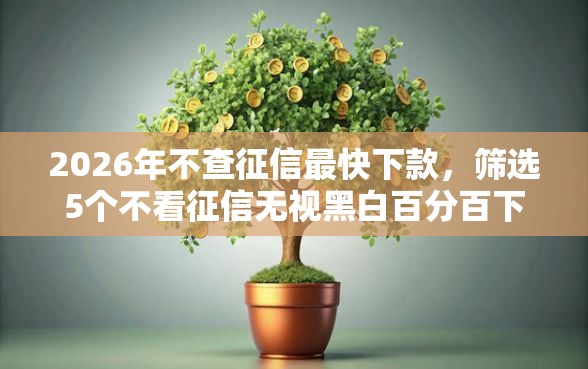 2026年不查征信最快下款，筛选5个不看征信无视黑白百分百下款软件