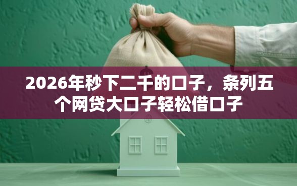 2026年秒下二千的口子，条列五个网贷大口子轻松借口子