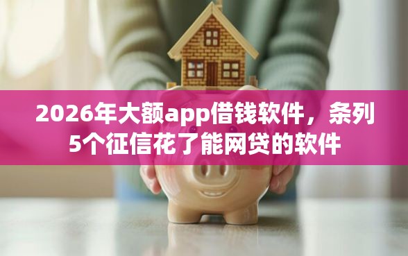 2026年大额app借钱软件，条列5个征信花了能网贷的软件