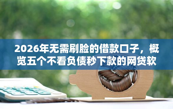 2026年无需刷脸的借款口子，概览五个不看负债秒下款的网贷软件