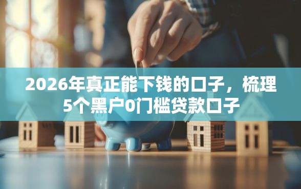 2026年真正能下钱的口子，梳理5个黑户0门槛贷款口子