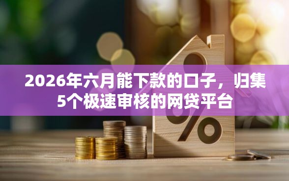 2026年六月能下款的口子，归集5个极速审核的网贷平台