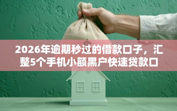2026年逾期秒过的借款口子,汇整5个手机小额黑户快速贷款口子 2026年逾期秒过的借款口子,汇整5个手机小额黑户快速贷款口子