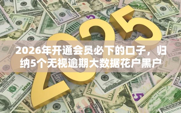 2026年开通会员必下的口子，归纳5个无视逾期大数据花户黑户口子