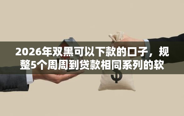2026年双黑可以下款的口子，规整5个周周到贷款相同系列的软件