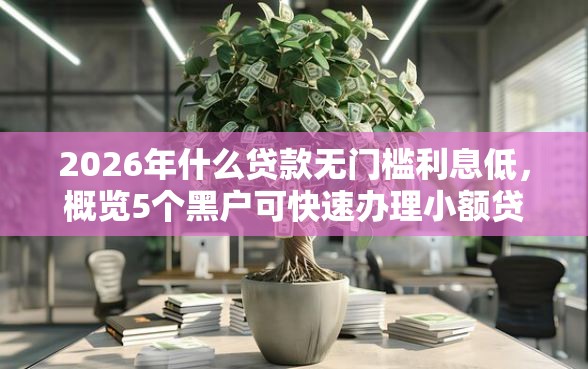 2026年什么贷款无门槛利息低，概览5个黑户可快速办理小额贷款业务的软件
