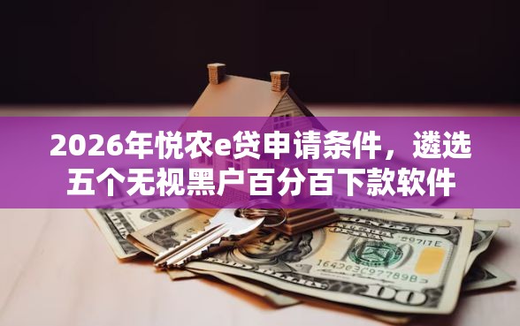 2026年悦农e贷申请条件，遴选五个无视黑户百分百下款软件