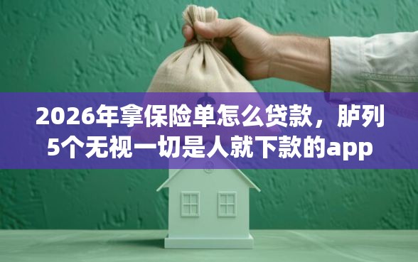2026年拿保险单怎么贷款，胪列5个无视一切是人就下款的app