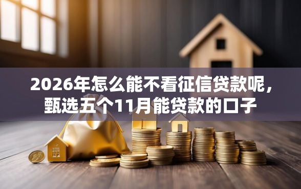 2026年怎么能不看征信贷款呢，甄选五个11月能贷款的口子