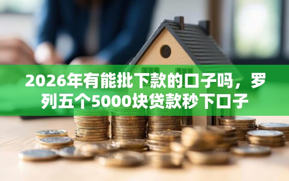 2026年有能批下款的口子吗，罗列五个5000块贷款秒下口子