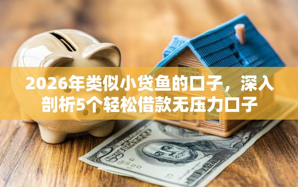2026年类似小贷鱼的口子，深入剖析5个轻松借款无压力口子