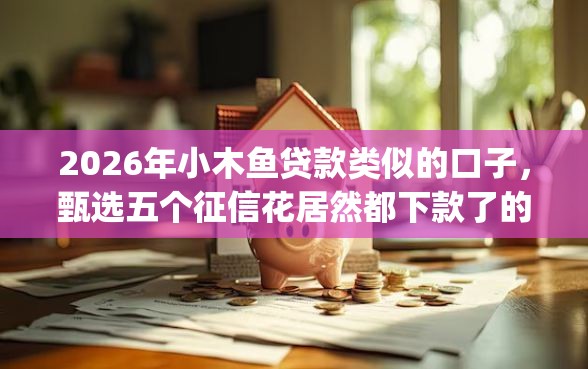 2026年小木鱼贷款类似的口子，甄选五个征信花居然都下款了的app
