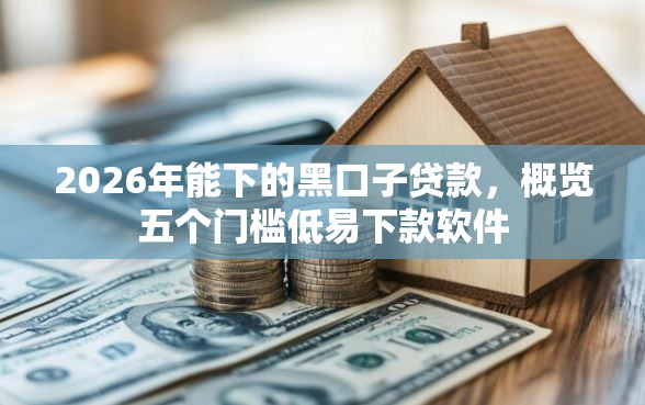 2026年能下的黑口子贷款，概览五个门槛低易下款软件