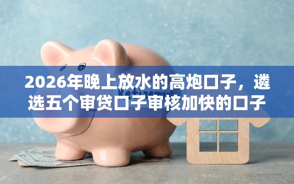 2026年晚上放水的高炮口子，遴选五个审贷口子审核加快的口子