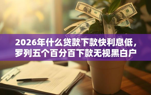 2026年什么贷款下款快利息低，罗列五个百分百下款无视黑白户网贷口子