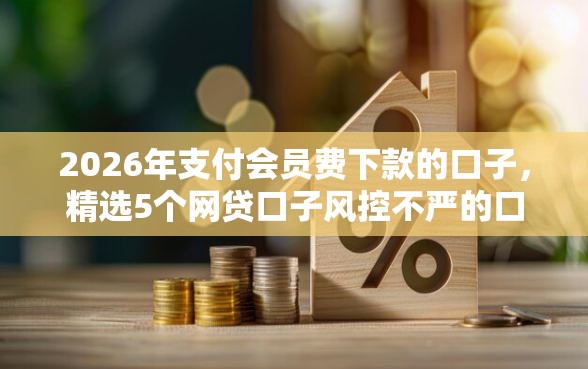 2026年支付会员费下款的口子，精选5个网贷口子风控不严的口子