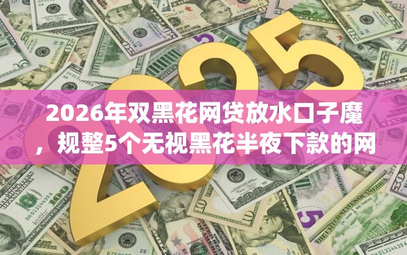 2026年双黑花网贷放水口子魔，规整5个无视黑花半夜下款的网贷app