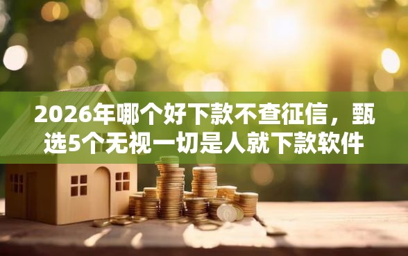 2026年哪个好下款不查征信，甄选5个无视一切是人就下款软件
