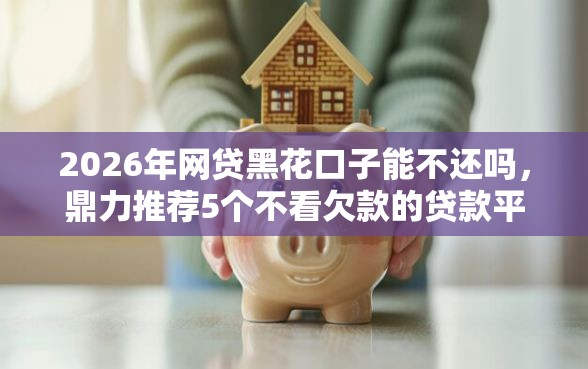 2026年网贷黑花口子能不还吗，鼎力推荐5个不看欠款的贷款平台