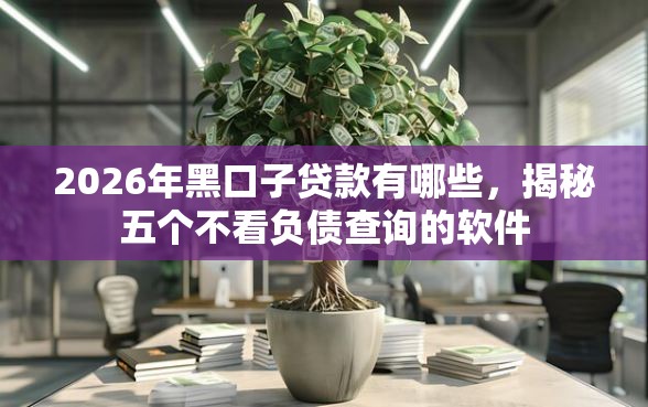 2026年黑口子贷款有哪些，揭秘五个不看负债查询的软件