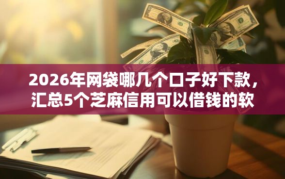 2026年网袋哪几个口子好下款，汇总5个芝麻信用可以借钱的软件