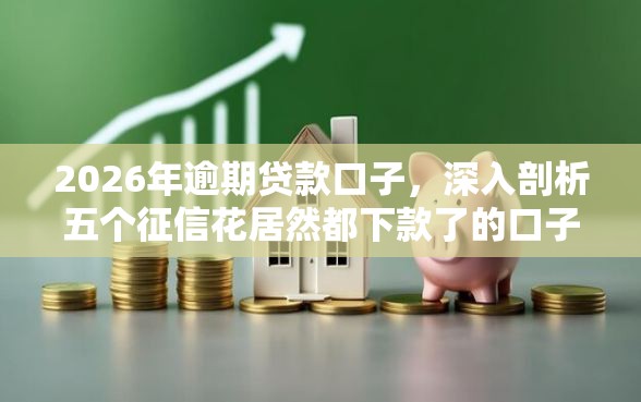 2026年逾期贷款口子，深入剖析五个征信花居然都下款了的口子