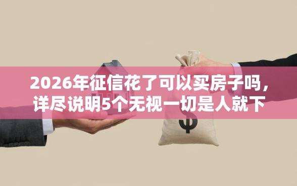 2026年征信花了可以买房子吗，详尽说明5个无视一切是人就下款的平台