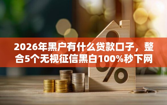 2026年黑户有什么贷款口子，整合5个无视征信黑白100%秒下网贷软件