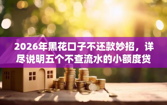 2026年黑花口子不还款妙招，详尽说明五个不查流水的小额度贷款app