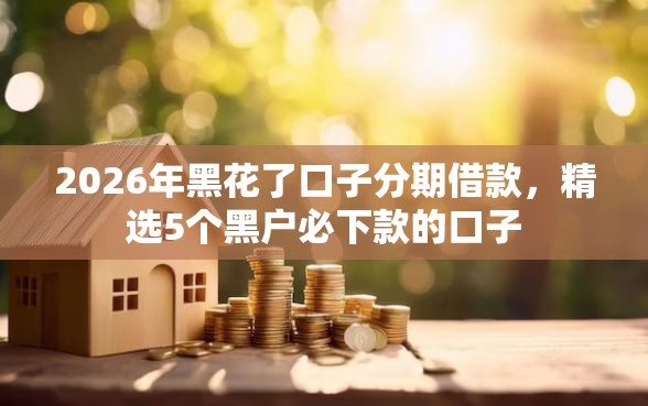 2026年黑花了口子分期借款，精选5个黑户必下款的口子