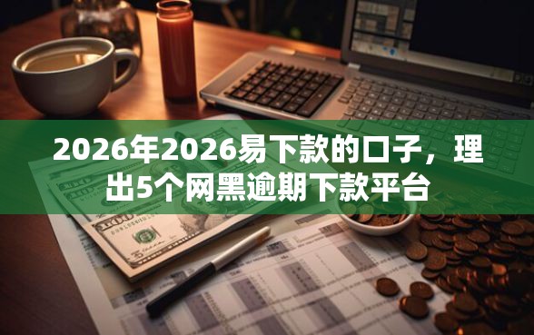 2026年2026易下款的口子，理出5个网黑逾期下款平台